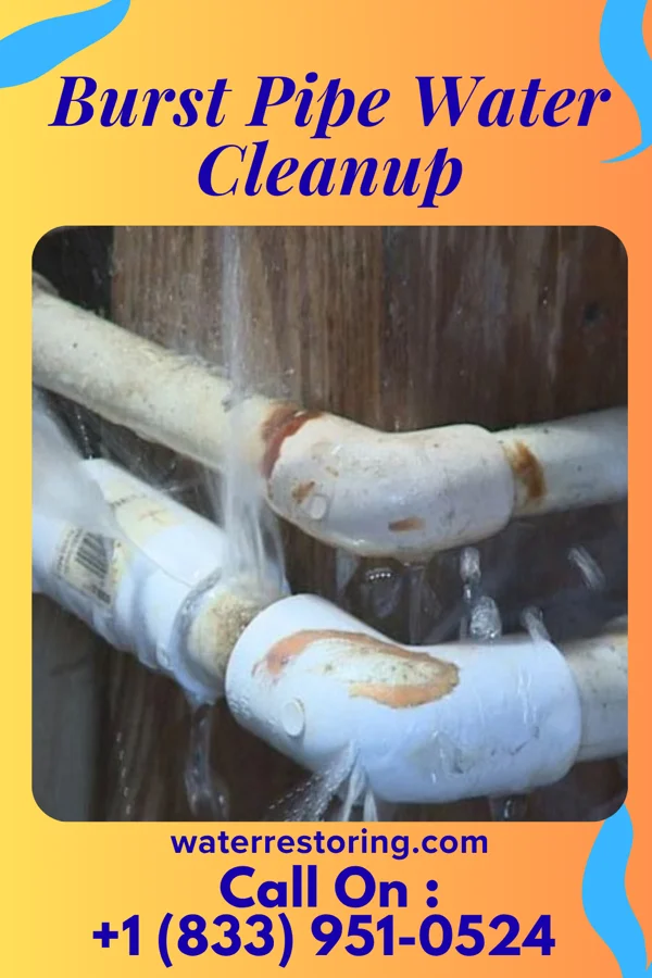 Burst Pipe Water Cleanup in Lily Lake, IL