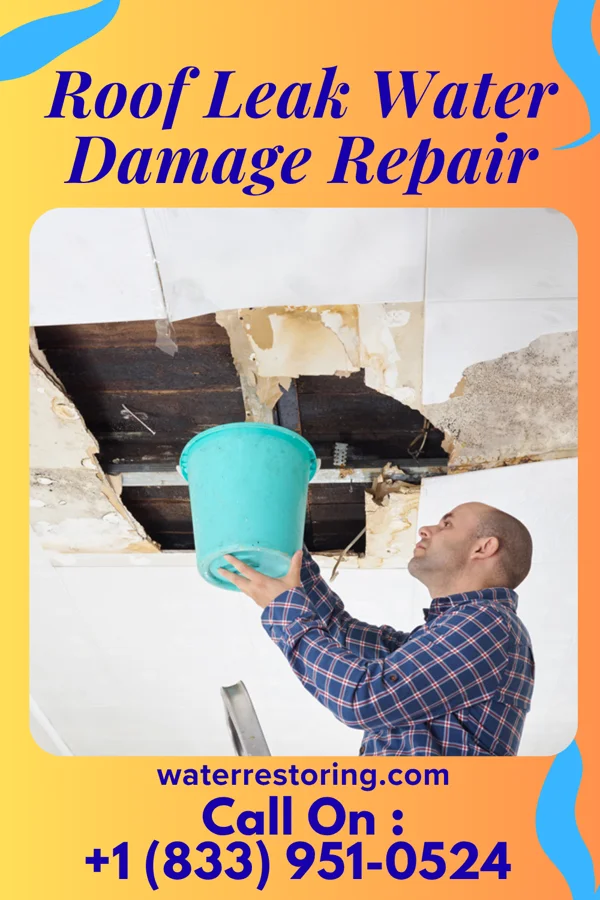 Roof Leak Water Damage Repair in Lily Lake, IL