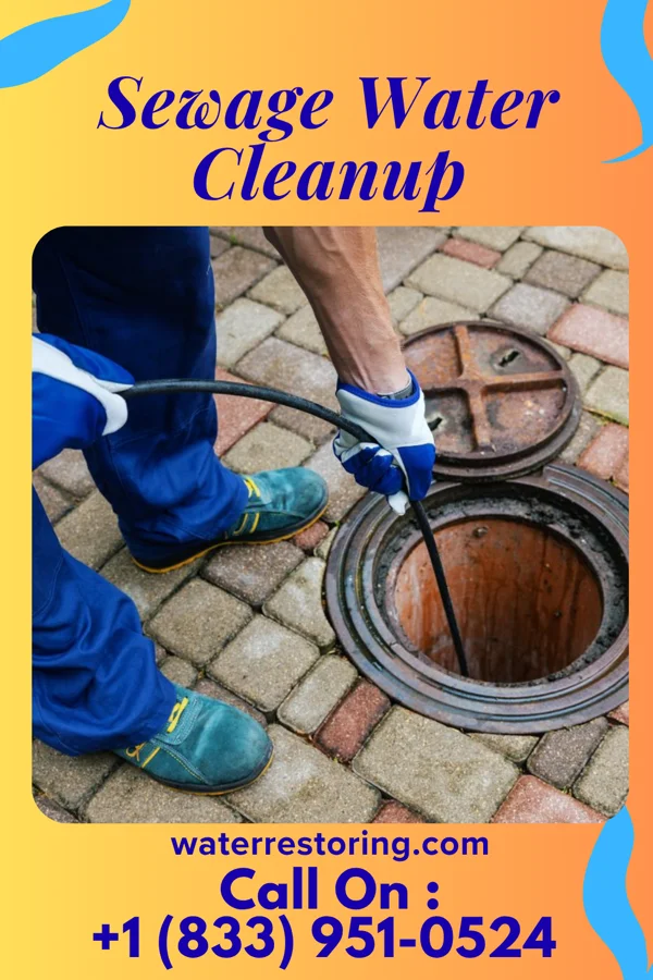Sewage Water Cleanup in Lily Lake, IL